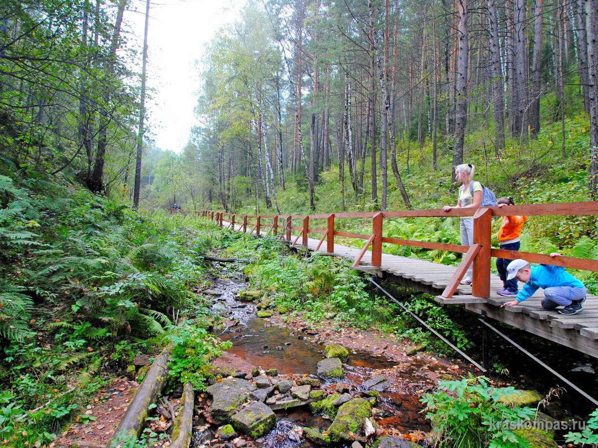 река базаиха красноярск